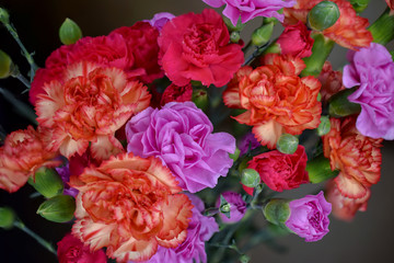 Pink, Orange, Red Carnation Flowers in a Bunch