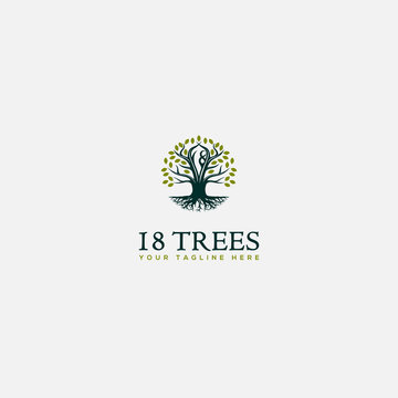 Abstract vibrant tree logo design, root vector circle 18 trees