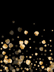 Gold seashells isolated, pearl bivalved mollusks