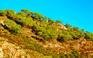 Landscape and Beautiful Scenery with mountains. Panorama in South Sardinia island of Italy....