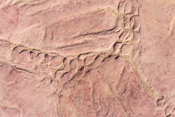 Sidewalk tiles with a pattern. A concrete slab painted red.  Decorative element for decoration of the exterior.