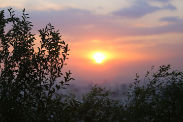 Fototapeta premium pôr do sol visto de um jardim suspenso em São Paulo