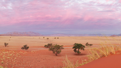 Sunset at Elim Dune in Sesriem, Namibia