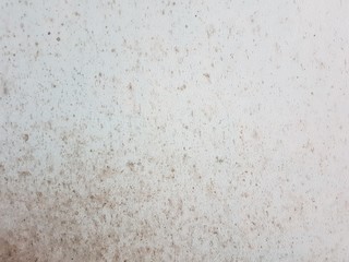 texture of white wall