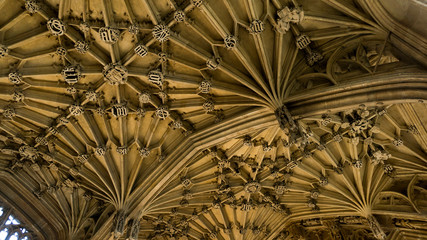 Gothic Ceiling