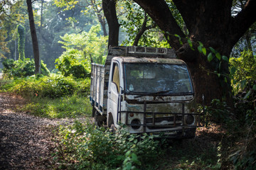 An abandoned van kept in a natural green forest in green background. Indian landscape.
