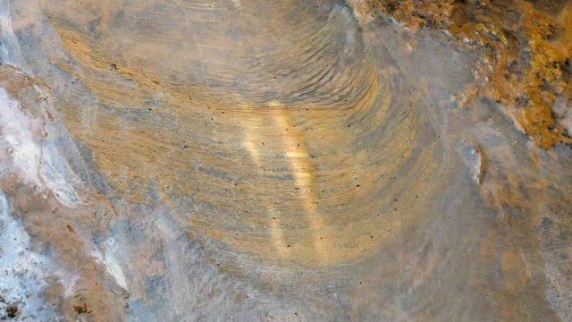 Bacterial scum on the surface of a pond in Ecuador. The rusty colour indicate iron bacteria which derive their energy by oxidising dissolved ferrous iron to insoluble ferric oxide is insoluble.