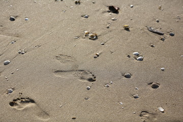 footprints in the sand