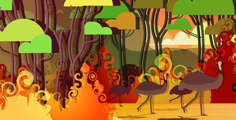 ostrich or emu running from forest fires in australia animals dying in wildfire bushfire burning trees natural disaster concept intense orange flames horizontal vector illustration