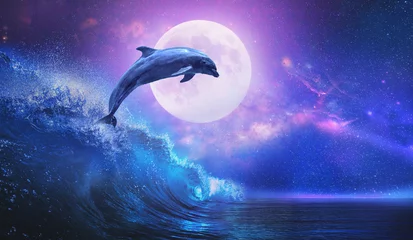  Nachtoceaan met speelse dolfijn die uit zee springt op surfgolf en volle maan schijnt op tropische achtergrond © willyam
