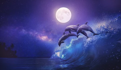 Foto auf Leinwand Nachtozean mit drei verspielten Delfinen, die auf Surfwelle aus dem Meer springen und Vollmond, der auf tropischem Hintergrund scheint © willyam
