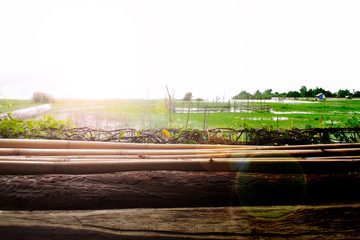 View of the lake looking out of the house in the water and the sun shining.