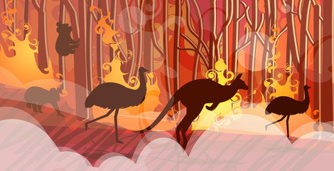 australian animals silhouettes running from forest fires in australia wildfire bushfire burning trees natural disaster concept intense orange flames horizontal vector illustration © mast3r