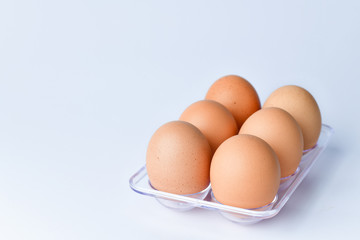 Close up of Chicken Eggs
