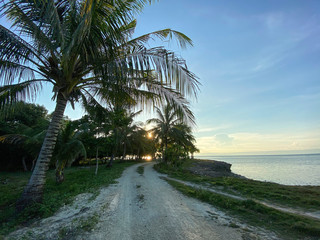 Naklejka premium Landscape of a road stretching into a palm forest. Beautiful sunset, sunrise. Calm sea background the blue sky.