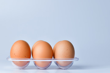Close up of Chicken Eggs