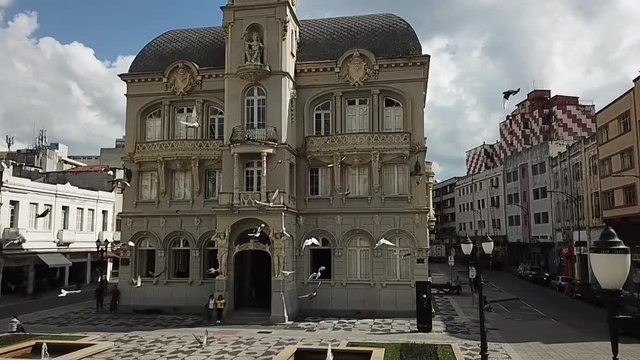 MUSEU CURITIBA PIGEONS FLY OVER