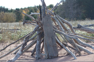 Wood Pile