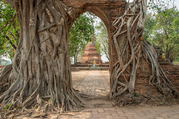 Naklejka premium Archaeological site in Phra Nakhon Si Ayutthaya Province