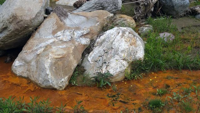 Iron bacteria growing in a stream. These microorganisms derive their energy by oxidizing dissolved ferrous iron. The resulting ferric oxide is insoluble, and appears as brown gelatinous slime.