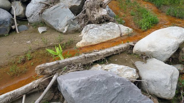 Iron bacteria growing in a stream. These microorganisms derive their energy by oxidizing dissolved ferrous iron. The resulting ferric oxide is insoluble, and appears as brown gelatinous slime.