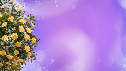 Yellow carnations on a purple blue background with bokeh and sparkles