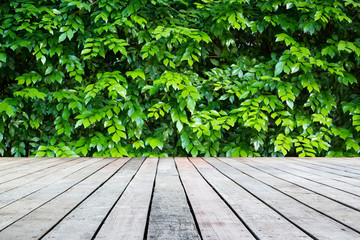 old wood wall with green leaves