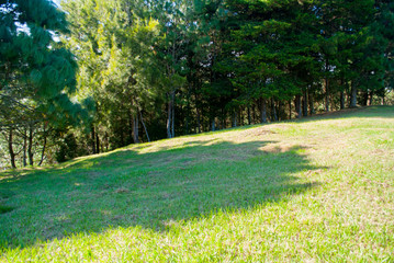  Panoramic view of reforested green area, planned area for housing, outdoor space, blue sky at sunset in Guatemala.