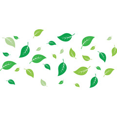 flying leaves logo vector template.design for