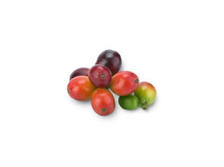 fresh coffee beans with leaf on white background