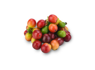 Red coffee beans , ripe and unripe berries isolated on white background