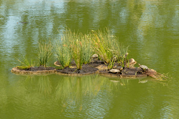 Naklejka na ściany i meble man made turtle island for pond