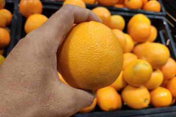 Close up Hand and Oranges in market.mandarin oranges raw Fruit,Fresh mandarin oranges texture