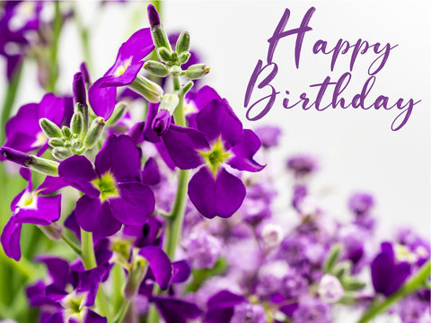 Happy Birthday with Bold Purple Flowers
