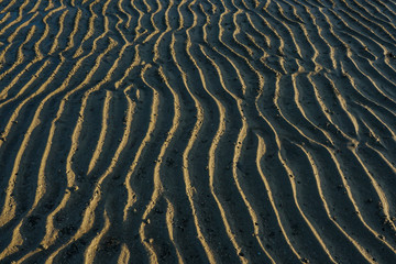 Brown sand texture and sunrise shadow on the beach for background. purpose.