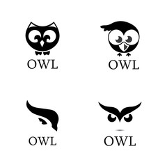 owl bird illustration logo template vector icon