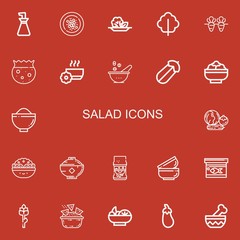Fototapeta na wymiar Editable 22 salad icons for web and mobile
