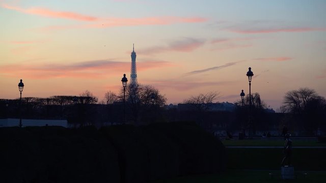Effiel tower on the background while walking down the park