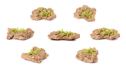 Piece of cracked earth peeling from the river in drought season isolated on white