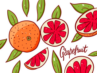 Cute Grapefruit poster. Vector illustration. Isolated on white background.