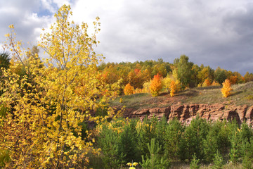 Fototapeta premium Multi-colored paints of the autumn forest