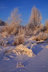 A very frosty winter morning, the sun rises, frost on the trees