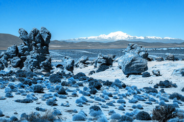 Curiously carved rocks in Bolivian altiplano. Scenic landscape