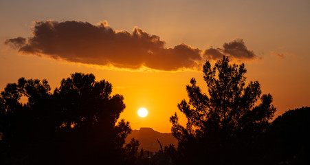 Sunrise, sunset through tree silhouette. Sunbeams paints with yellow and orange color the sky