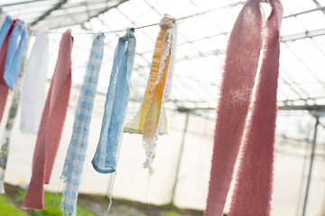 Strips of Scrap Fabric Tied to a Wire with Greenhouse Background