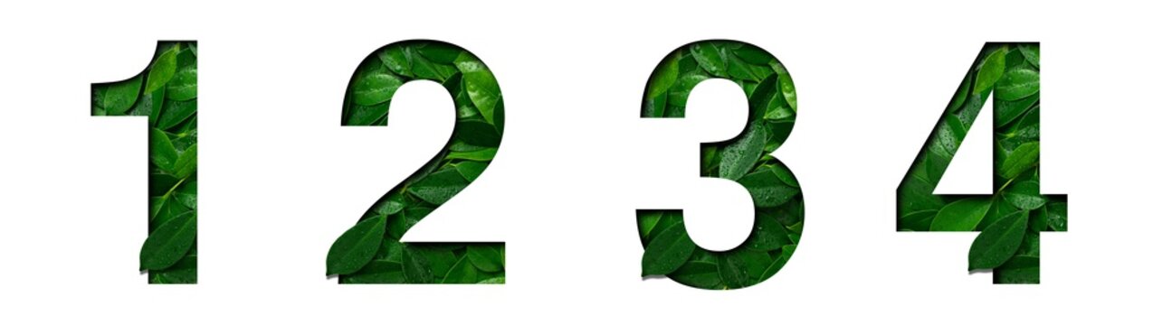 Font leafs 1,2,3,4 made of Real alive leafs with Precious paper cut shape. Leafs font collection set.