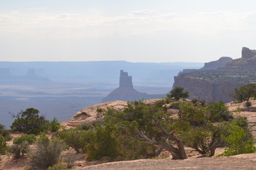 Fototapeta na wymiar Early Summer in Utah: Candlestick Tower Seen from the Green River Overlook in the Island in the Sky District of Canyonlands National Park