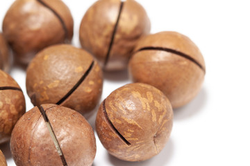 Bunch brown spotty shelled macadamia closeup on the left side with macro view isolated white background