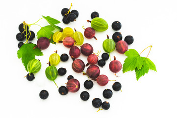 Naklejka na ściany i meble gooseberry and blackcurrant berries on a white background top view