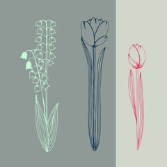 Abstract long flowers tulips and lilies of the valley